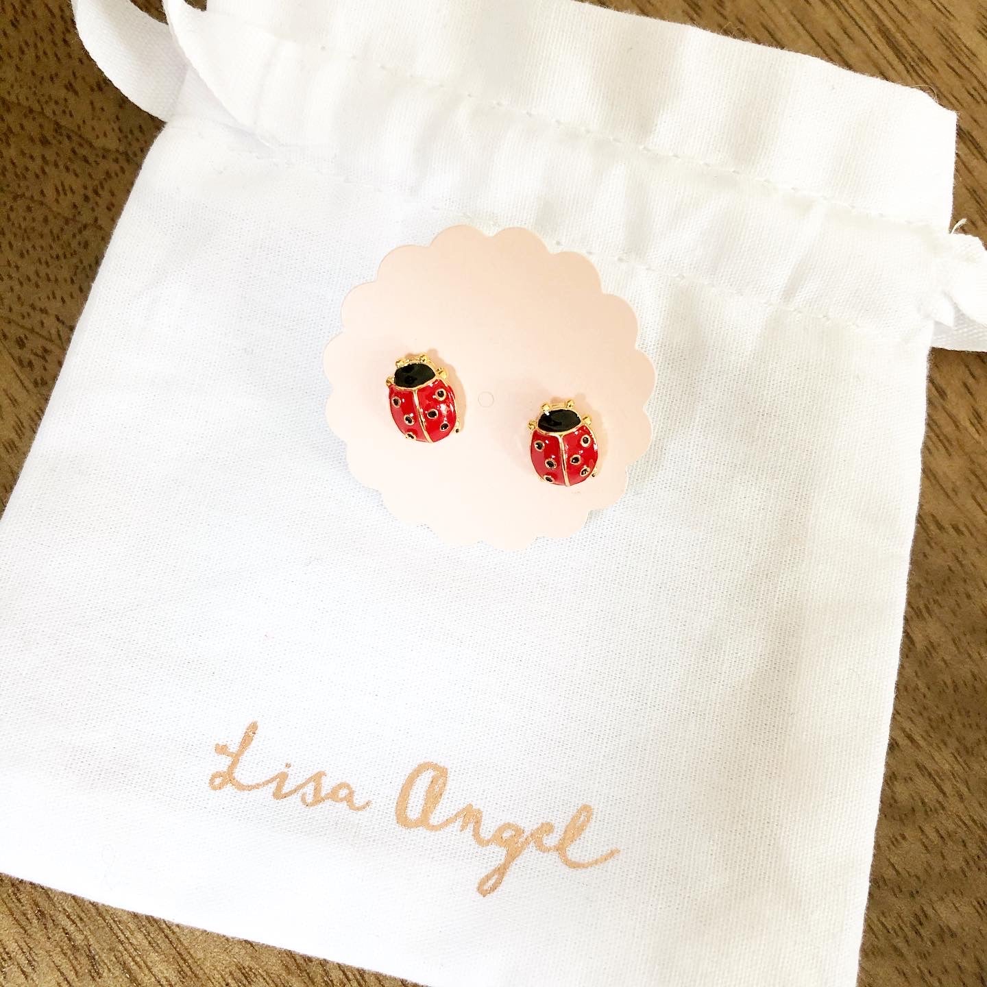 Ladybug Earrings